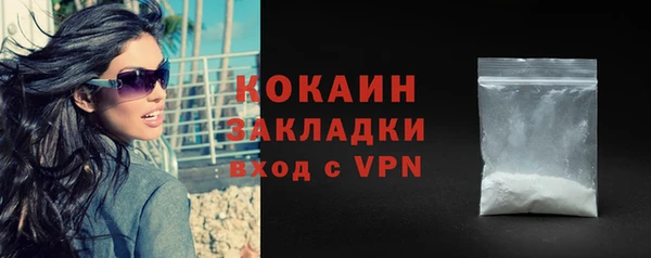 мдпв Михайлов