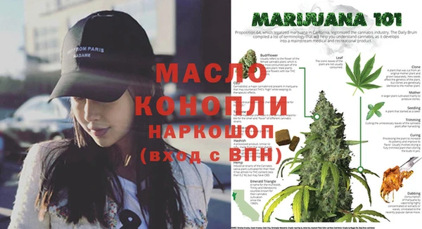 PSILOCYBIN Анива