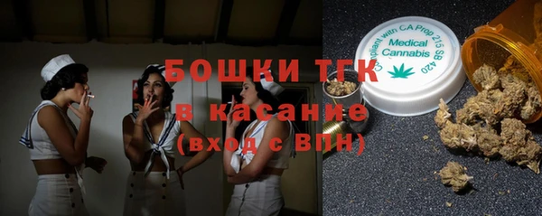 мдпв Михайлов