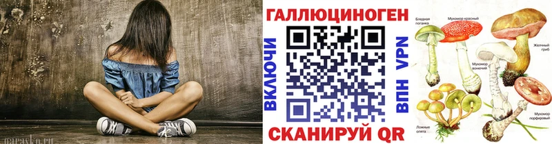 Псилоцибиновые грибы Psilocybe  Озёры 